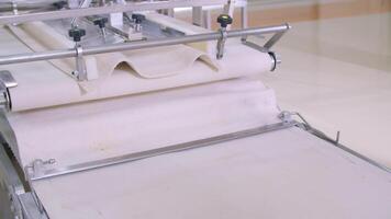 Dough pieces on the working conveyor line of dough machine in a bakery video