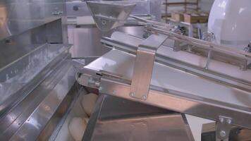 Dough pieces on the working conveyor line of dough machine in a bakery video