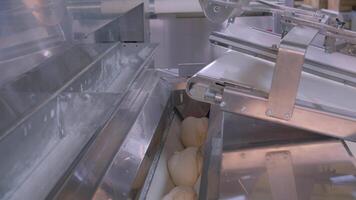 Dough pieces on the working conveyor line of dough machine in a bakery video