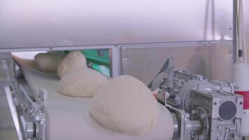 Dough pieces on the working conveyor line of dough machine in a bakery video