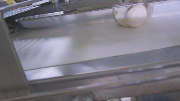 deeg stukken Aan de werken transportband lijn van deeg machine in een bakkerij video