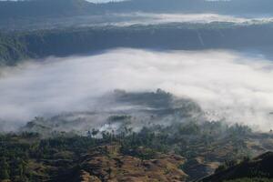 Above the Clouds, Majestic Mountain Top Views with Stunning Forest SceneryCloudscape Wonderland, Mountain Peaks Above Clouds, Enchanting Forest Below photo