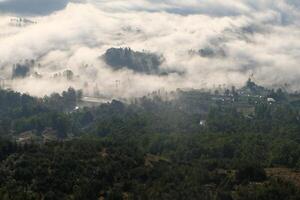Above the Clouds, Majestic Mountain Top Views with Stunning Forest Scenery photo