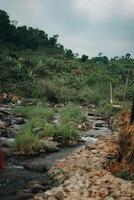 sentul, Indonesia - 19 marzo 2024. refrescante curug sentul claro río fluido desde cascada, rodeado por bosques, ideal para naturaleza amantes foto