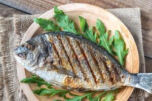 Grilled gilt-head bream with fresh arugula photo