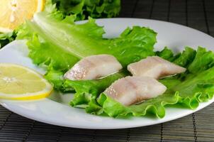 Herring filet closeup photo