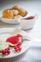 scone with redcurrant jam photo