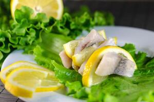 Herring filet closeup photo