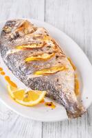 Baked dorado fish photo