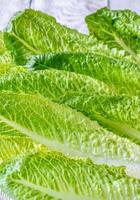 Romaine lettuce leaves photo