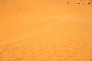 The texture of sand in the desert as a natural background. photo