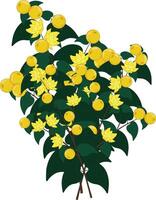 Yellow berries and flowers branch vector