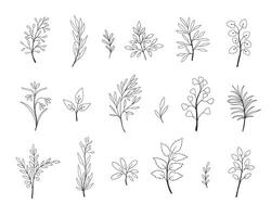 Set of hand drawn black and white leaves and twigs. Set of hand drawn black and white leaves and twigs vector