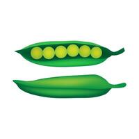 Green peas in a pod isolated on white background. vector