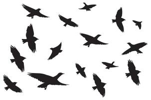 silhouettes flying birds illustration vector