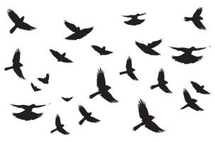 Set of flying birds silhouettes vector