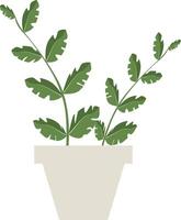 cute flat flower plant in an unusual shaped pot on the white background vector