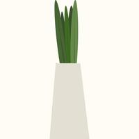 cute flat flower plant in an unusual shaped pot on the white background vector