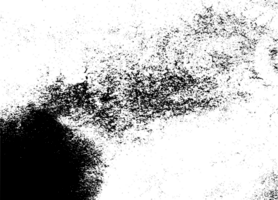 Rustic grunge texture with grain and stains. Abstract noise background. Graphic illustration with transparent background. png
