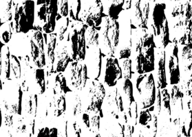 Rustic grunge texture with grain and stains. Abstract noise background. Graphic illustration with transparent background. png