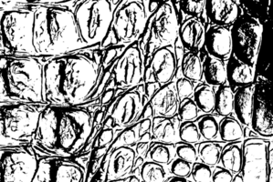 Rustic grunge texture with grain and stains. Abstract noise background. Graphic illustration with transparent background. png