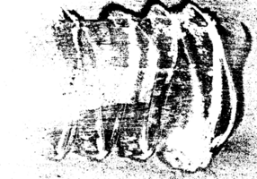 Rustic grunge texture with grain and stains. Abstract noise background. Graphic illustration with transparent background. png