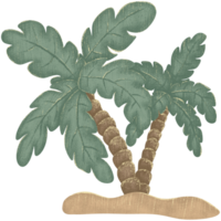 Illustration of two coconut trees png