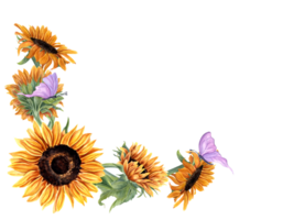 girasoles y mariposas brillante verano amarillo flores con revoloteando rosado insectos horizontal Clásico marco con Copiar espacio para texto. acuarela ilustración para saludos, invitaciones png