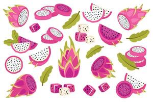 Set of dragon fruits isolated on white background. Fresh exotic Pitahaya in peel, cut into circles, small cubes and slices. Sweet tropical pitaya fruit. illustration vector