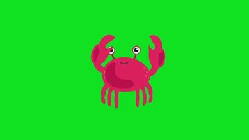 animation de une Crabe sur une vert Contexte video