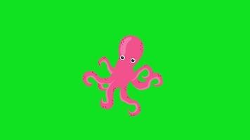 un pulpo en un verde pantalla video