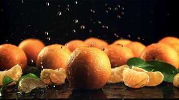 druppels van water vallen Aan rijp mandarijnen. Aan een zwart achtergrond. gefilmd is langzaam beweging 1000 kaders per seconde. hoog kwaliteit full HD beeldmateriaal video