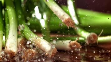 Super slow motion green onions. High quality FullHD footage video