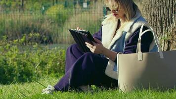 jong vrouw gebruik makend van digitaal e boek Aan gras in natuur video