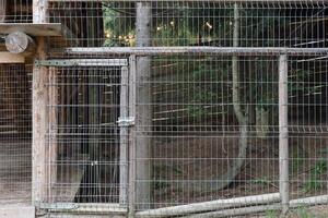 Metal grating and small entrance in zoo territory outdoors photo