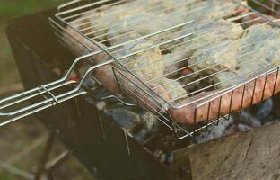 Shish kebabs from chicken wings are fried in the field. A classic barbecue in the open air. The process of frying meat on charcoal photo