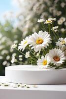 Blank Podium for demonstration and montage of product with daisies floral spring and summer decor. Summer background, blooming, birthday, March 8, Easter, women day, wedding. Copy space. photo