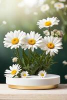 Blank Podium for demonstration and montage of product with daisies floral spring and summer decor. Summer background, blooming, birthday, March 8, Easter, women day, wedding. Copy space. photo