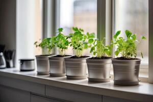 Seedlings of vegetables for planting in the open ground in the garden are grown on the windowsill - preparation for the summer season, subsistence farming. photo