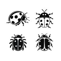 Cute ladybug character set. illustration isolated in black on a white background. vector