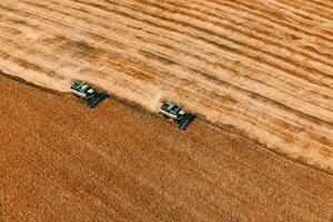 Harvesting of grain in summer. Two harvesters working in field. Combine harvester agricultural machine collecting golden ripe wheat or rye on field. View from above. Copy space photo