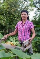 rural mujer con el cosecha de vegetales desde el orgánico jardín en un de madera caja foto