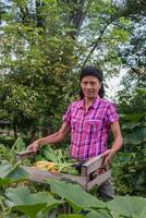 rural mujer con el cosecha de vegetales desde el orgánico jardín en un de madera caja foto