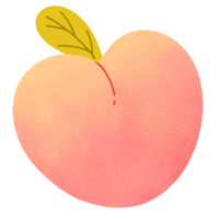 a peach with a leaf illustration png