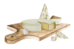 aquarelle illustration de pièces de fromage de différent variétés. pièces de délicieux fromage. modèle pour votre conception. png