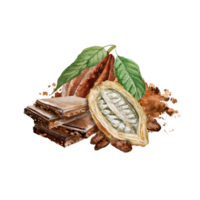 Watercolor illustration of chocolate, cocoa ingredients with cocoa beans, fresh cocoa pods and cocoa mass. png