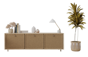 rotin bois cabinet dans boho style avec plante png