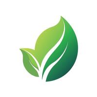 un verde hoja logo con un sutil degradado, representando respeto al medio ambiente, en un crujiente blanco fondo, hoja silueta con sutil degradado para un Respetuoso del medio ambiente ambiente vector