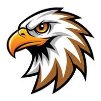 Illustration of an old school eagle mascot head against a plain white backdrop, Old School Eagle Mascot Head, Illustrated Classic Eagle Logo vector