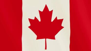 Canada drapeau agitant animation. plein filtrer. symbole de le pays. 4k video